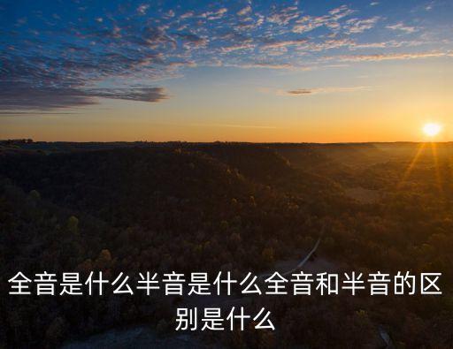 全音階，全音階口琴和布魯斯口琴的區別