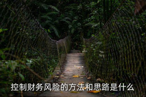 財(cái)務(wù)風(fēng)險(xiǎn)控制，控制財(cái)務(wù)風(fēng)險(xiǎn)的方法和思路是什么