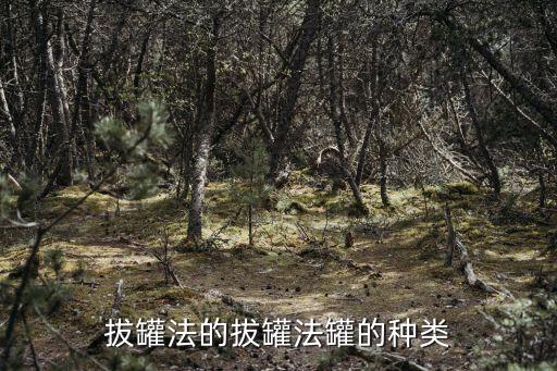 拔罐法的拔罐法罐的種類