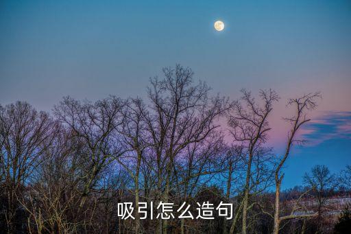 吸引造句，吸引怎么造句