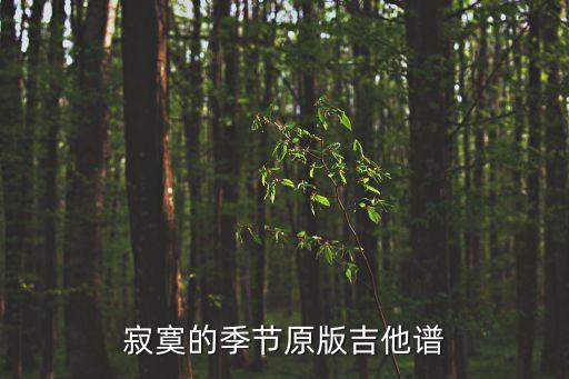 寂寞的季節(jié)吉他譜，陶喆寂寞的季節(jié)吉他六線譜發(fā)下