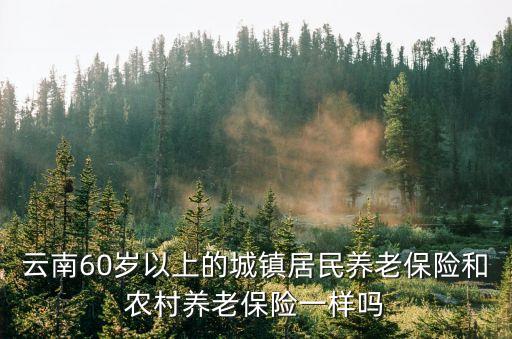 云南60歲以上的城鎮居民養老保險和農村養老保險一樣嗎