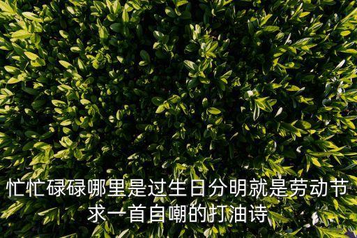 忙忙碌碌哪里是過(guò)生日分明就是勞動(dòng)節(jié)求一首自嘲的打油詩(shī)