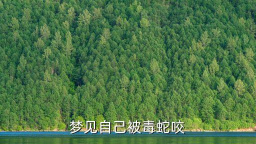 夢見自己被毒蛇咬