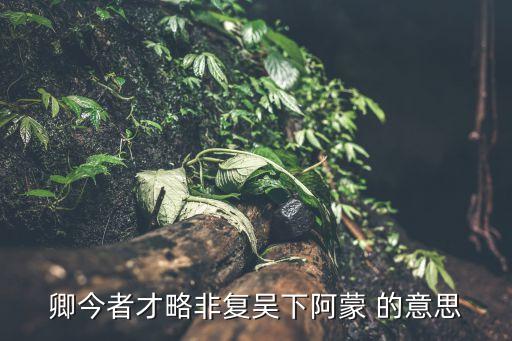 吳下阿蒙的意思，卿今者才略非復吳下阿蒙 的意思