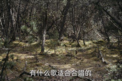 合唱的歌，適合合唱的流行歌曲有哪些