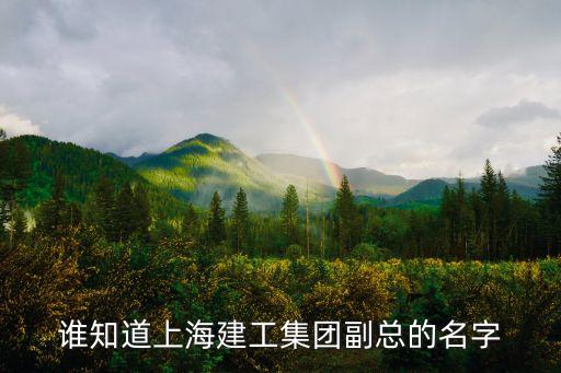 上海市上高級官員，上海市第一中級人民*執行局局長是誰