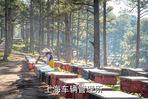 上海市管理機動車的主管單位是，想知道 上海市上海第二車輛管理所在哪