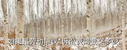上海市勞動案件訴訟費，不服勞動仲裁結果如何起訴在上海要多少律師費
