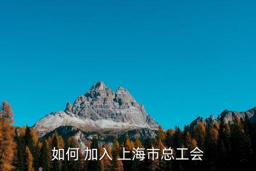 工會聯(lián)合會上海市總工會，如何 加入 上海市總工會