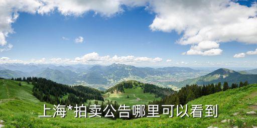 上海市浦沱區人民*公拍網，上海*拍賣公告哪里可以看到