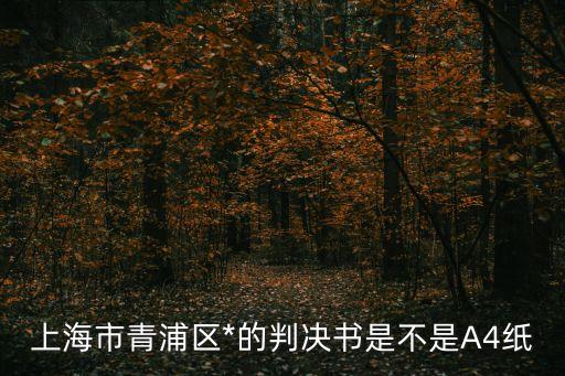 上海市人民*刑事判決書，我想查上海*的判決書網絡上有嗎