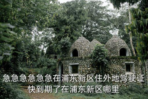 急急急急急急在浦東新區(qū)住外地駕駛證快到期了在浦東新區(qū)哪里