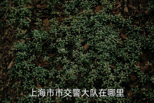 上海市交通委在哪，上海市區交通委主任屬正處嗎