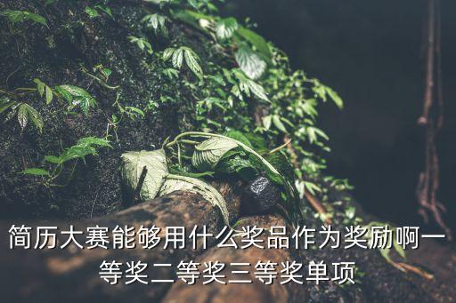 簡歷設計大賽，簡歷設計大賽策劃書怎樣寫