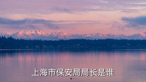 上海市保安局局長是誰