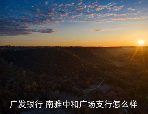 廣發銀行 南雅中和廣場支行怎么樣