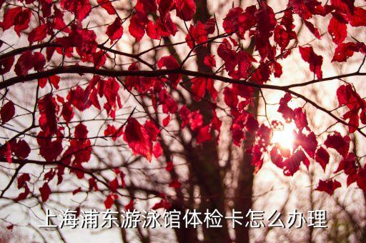 上海市游泳健康承諾卡，急急急有誰能告訴我游泳用的健康卡在哪里辦