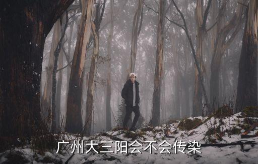 廣州*會傳染到深圳嗎，廣州到深圳會經過哪些市