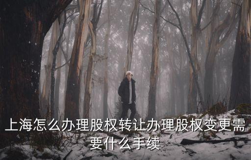 上海市創(chuàng)業(yè)投資企業(yè)股權(quán)轉(zhuǎn)讓，投資公司更名和股權(quán)變更轉(zhuǎn)讓