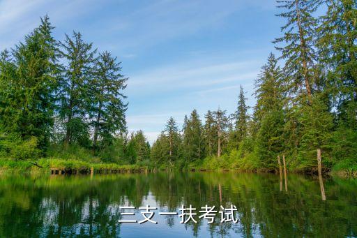 上海市三支一扶考試網，三支一扶考試