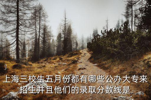 上海三校生五月份都有哪些公辦大專來招生并且他們的錄取分數線是