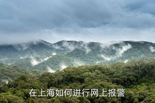 上海市報案網(wǎng)，上海市*局網(wǎng)監(jiān)分局網(wǎng)絡(luò)報警處置中心的網(wǎng)址是什么