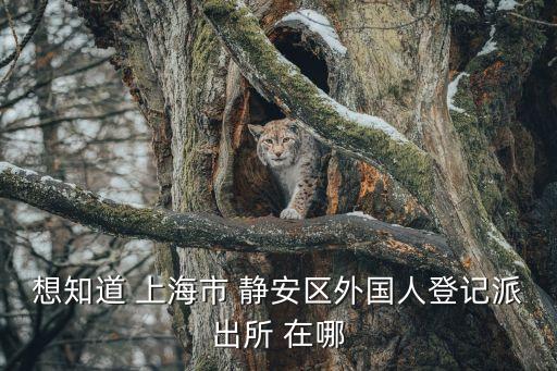 上海市廣粵路派出所，想知道 上海市 靜安區外國人登記派出所 在哪