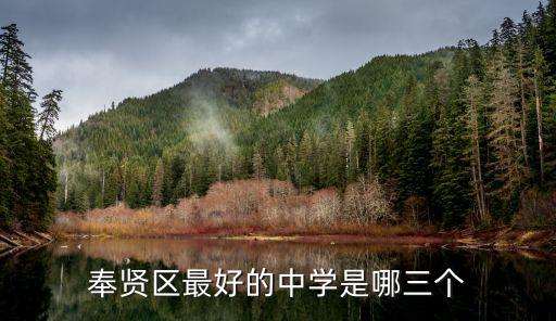 上海市奉賢區(qū)有好的中學(xué)嗎，奉賢區(qū)最好的中學(xué)是哪三個(gè)