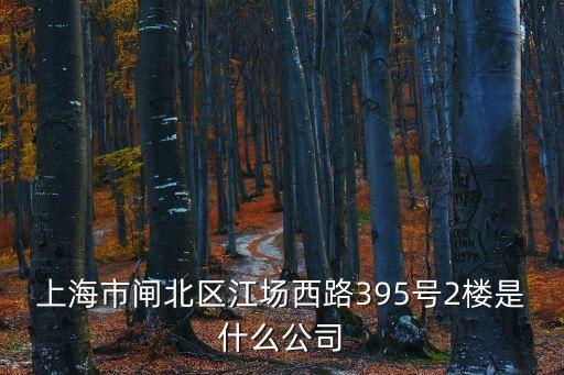 上海市胤元電子商務(wù)有限公司，上海市閘北區(qū)江場西路395號2樓是什么公司