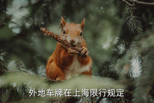 上海市機動車外牌限行規(guī)定，外地牌照在上海的限行時間有哪些