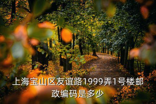 上海寶山區(qū)友誼路1999弄1號樓郵政編碼是多少