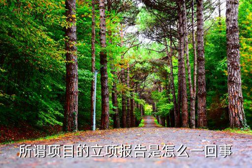 立項(xiàng)報(bào)告，項(xiàng)目立項(xiàng)報(bào)告怎么寫(xiě)