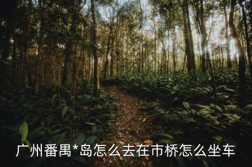 廣州市橋到海歐島，在市橋汽車站乘坐什么車能去到海歐島啊
