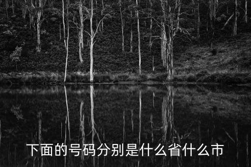 下面的號碼分別是什么省什么市