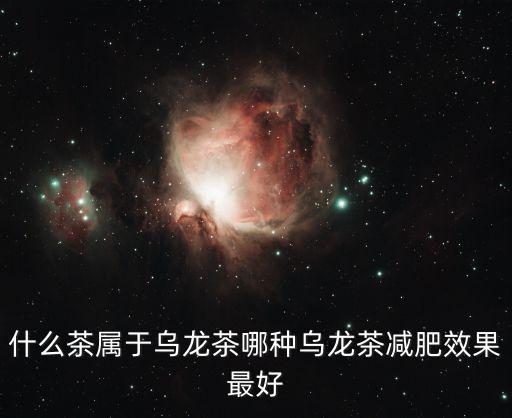 烏龍茶種類，哪些茶屬于烏龍茶
