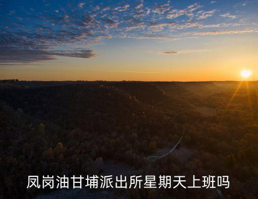 廣州古田鳳埔派出所，鳳崗油甘埔派出所星期天上班嗎