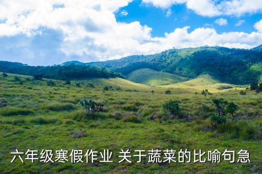 蔬菜造句，圍繞菜園里的蔬菜寫6句話