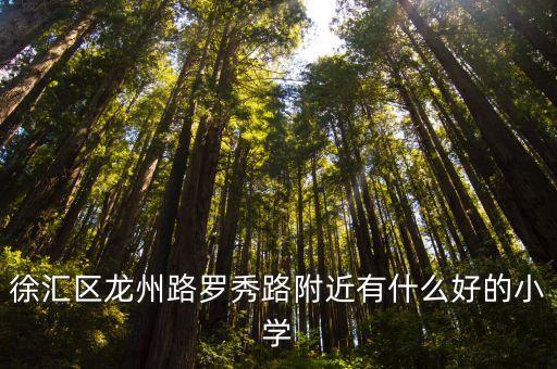 上海市徐匯區(qū)園南小學(xué)地址，上海徐匯區(qū)上中路園南三村21號是什么街道