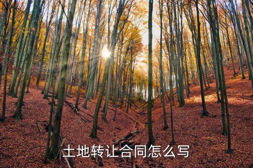 土地轉(zhuǎn)讓協(xié)議，土地轉(zhuǎn)讓合同怎么寫