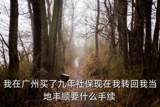 廣州回豐順縣需不需要證明，自己開車廣州回四川須要什么證明
