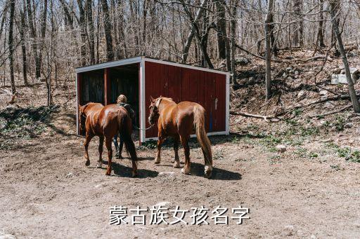 蒙古名字女孩，大家幫我姑娘取個蒙古族名字推薦好聽的名字吧拜托