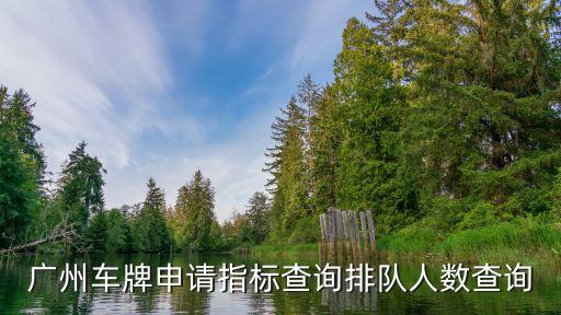 廣州市11月車牌投放指標，2015年11月份廣州小客車搖號結果出來了嗎