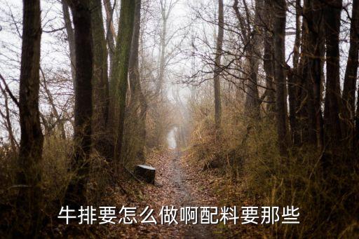 煎牛排怎么做，維也納煎牛排怎么做