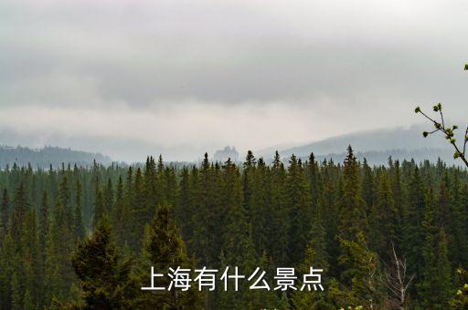 上海市內的景點有哪些地方，上海市內的景點有哪些