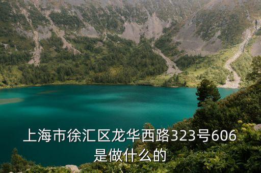 上海市愛軻城，上海市徐匯區龍華西路323號606是做什么的