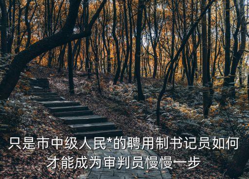上海市靜安區人民*審判員，張志國的介紹