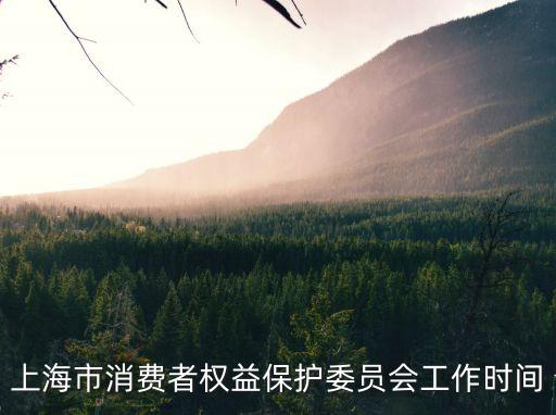 上海市消費權(quán)益保護協(xié)會，上海消費者協(xié)會電話是12315那其他地區(qū)也一樣嗎