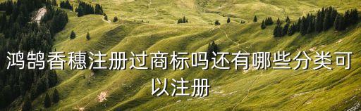 廣州鴻鵠裝飾，鴻鵠香穗注冊過商標嗎還有哪些分類可以注冊