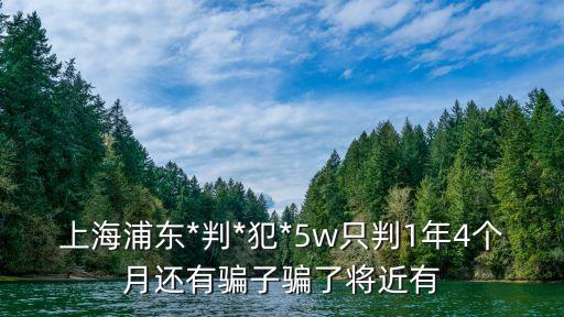 上海市浦東倒切罪判決書，上海浦東*判*犯*5w只判1年4個月還有騙子騙了將近有